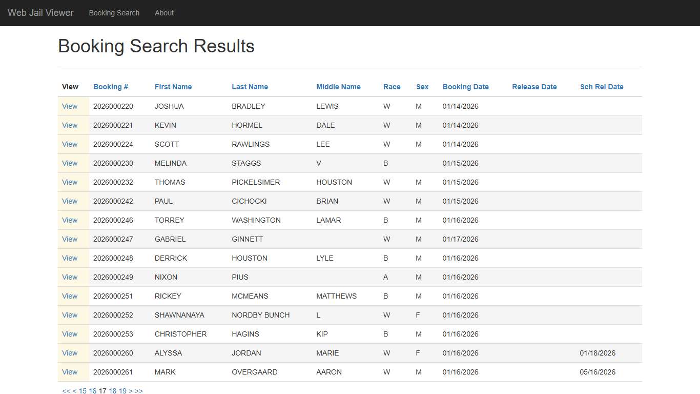 BookingSearchDetail - Web Jail Viewer